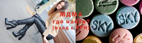 индика Алексин