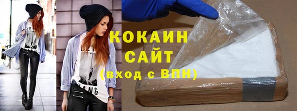 индика Алексин