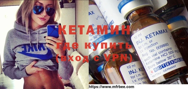 индика Алексин