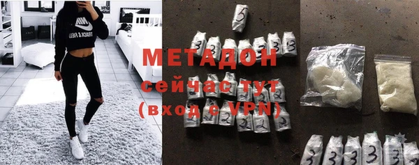 индика Алексин