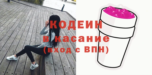 индика Алексин